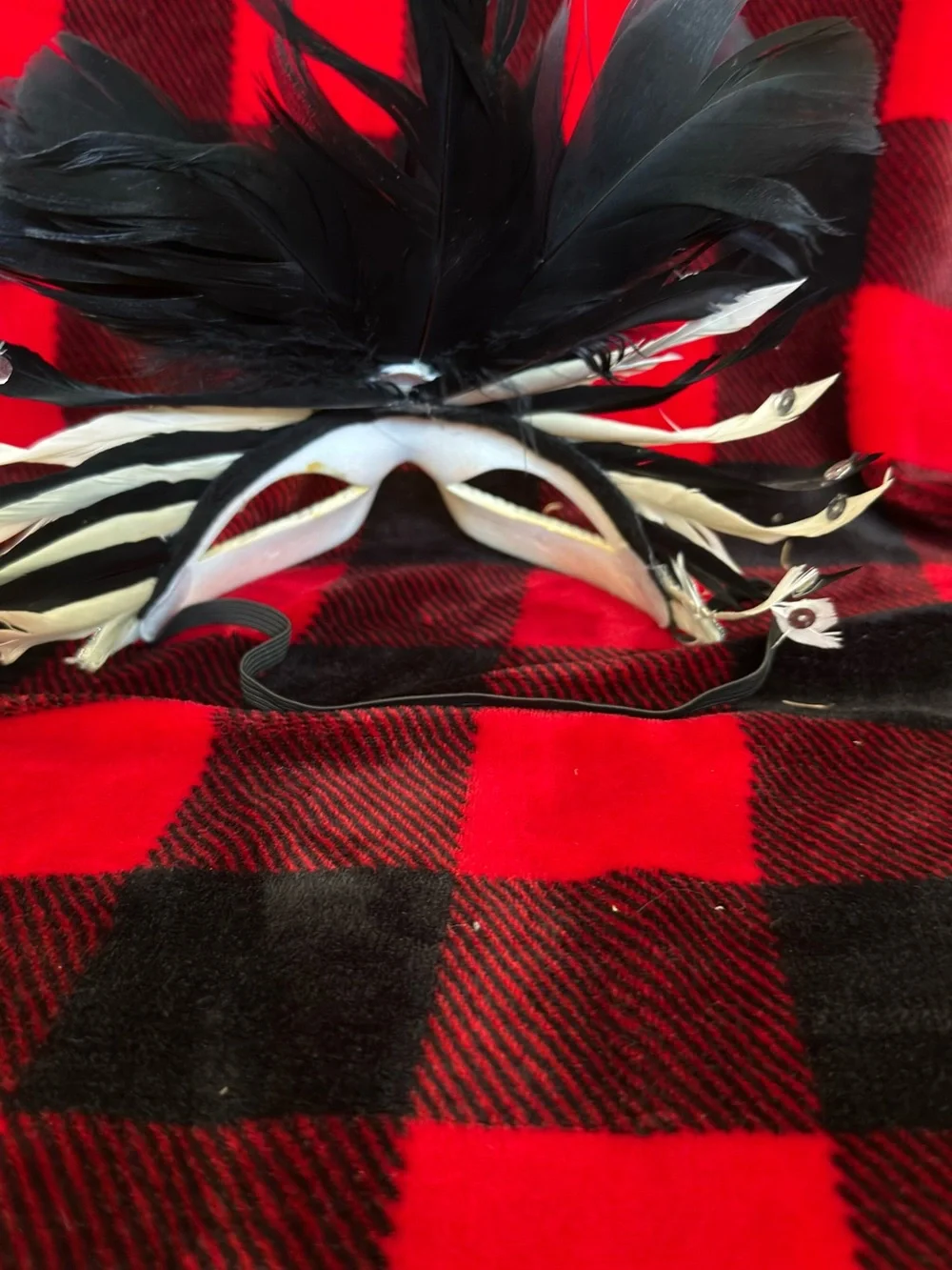 Black Feathered Masquerade Mask with Ivory Accents